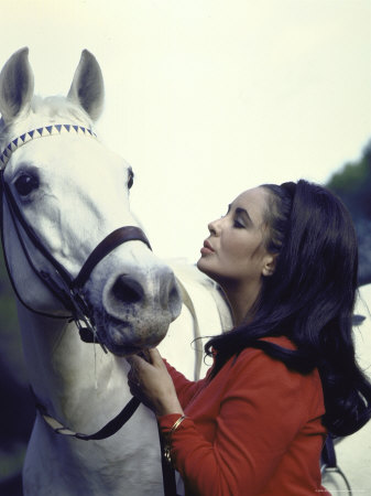 Elizabeth Taylor Horse