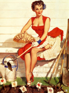 pin-up-garden