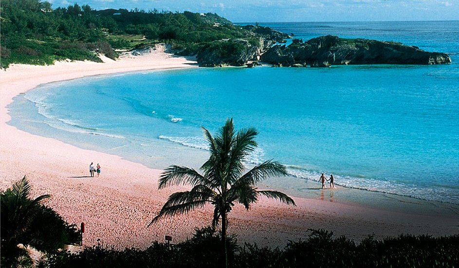 Bermuda Pink Sand