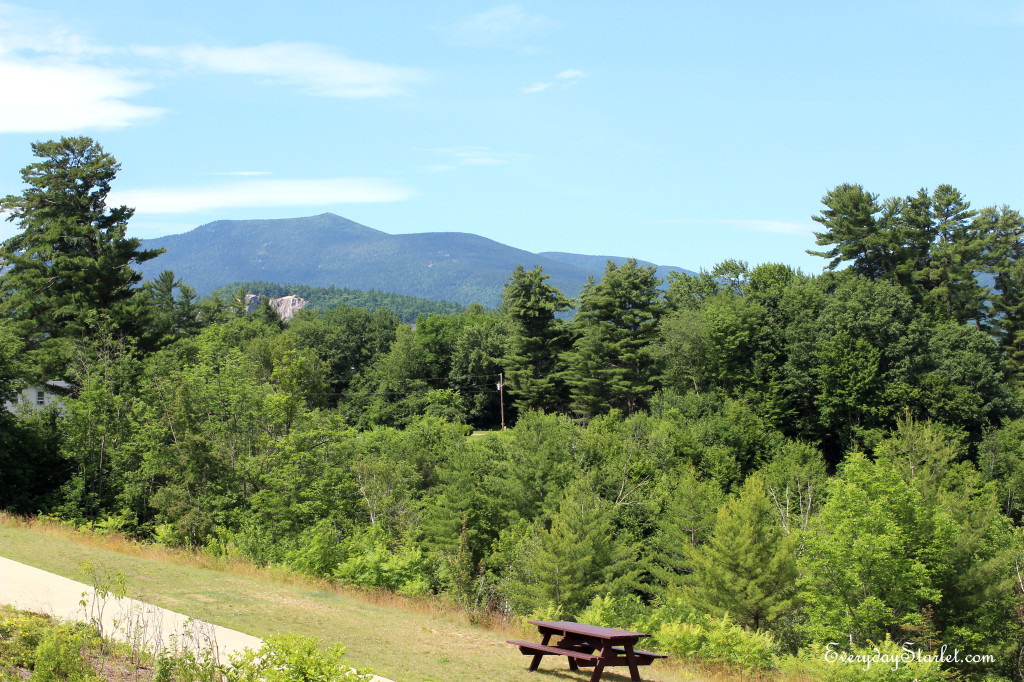 North Conway Picnic Table