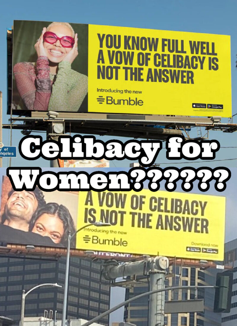 bumble advertisement controversy, bumble anti celibacy ads, celibacy benefits for women, celibacy for women, staying single and celibate, im celibate, is there such a thing as a female incel, why women are leaving dating apps, recovering pick me, recovering pick me girl, conscious celibacy, why im celibate, incel vs femcel, single and celibate by choice, decentering men, decentering men movement, femcel, everyday starlet, sarah blodgett,