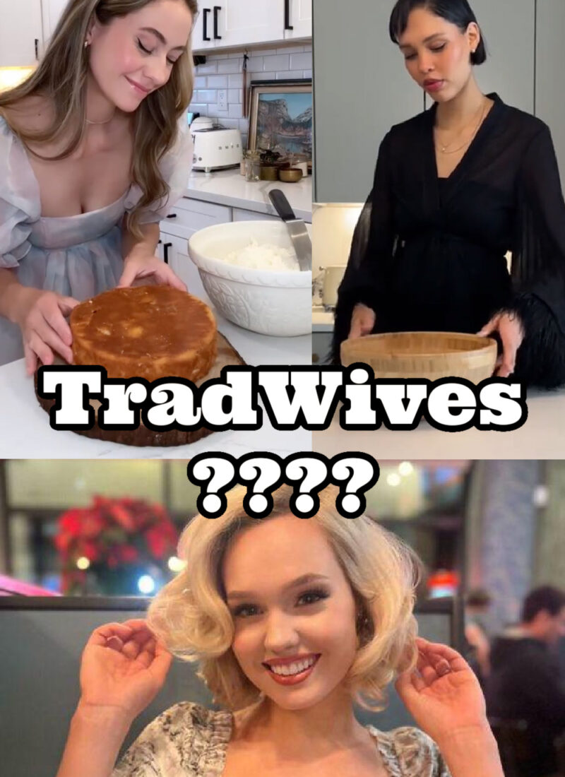trad wife vs modern woman, traits of a traditional woman, tradwives are not feminine, tradwife cringe, tradwife vs feminist, the problem with tradwife, the problem with the tradwife trend, tradwife tiktok is lying to you, tradwife controversy, tradwife criticism, is the tradwife trend a fetish, tradwife fetish, of model tradwife, whats wrong with being a tradwife, femininity stereotypes, tradwives, tradwives and their false promises, tradwife, tradwife movement, tradwife trend, traditional gender roles, everyday starlet, sarah blodgett,
