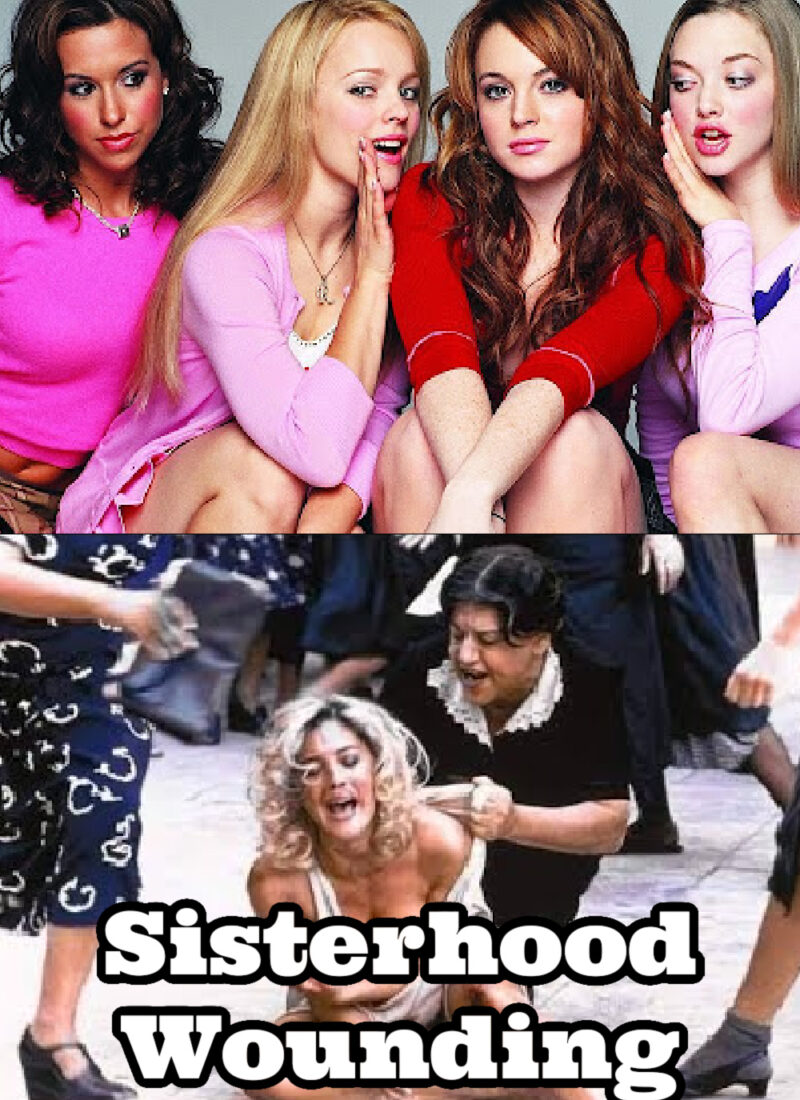 Sisterhood Wounding | How Women Become Mean Girls | Men Are to Blame for Women’s Jealousy