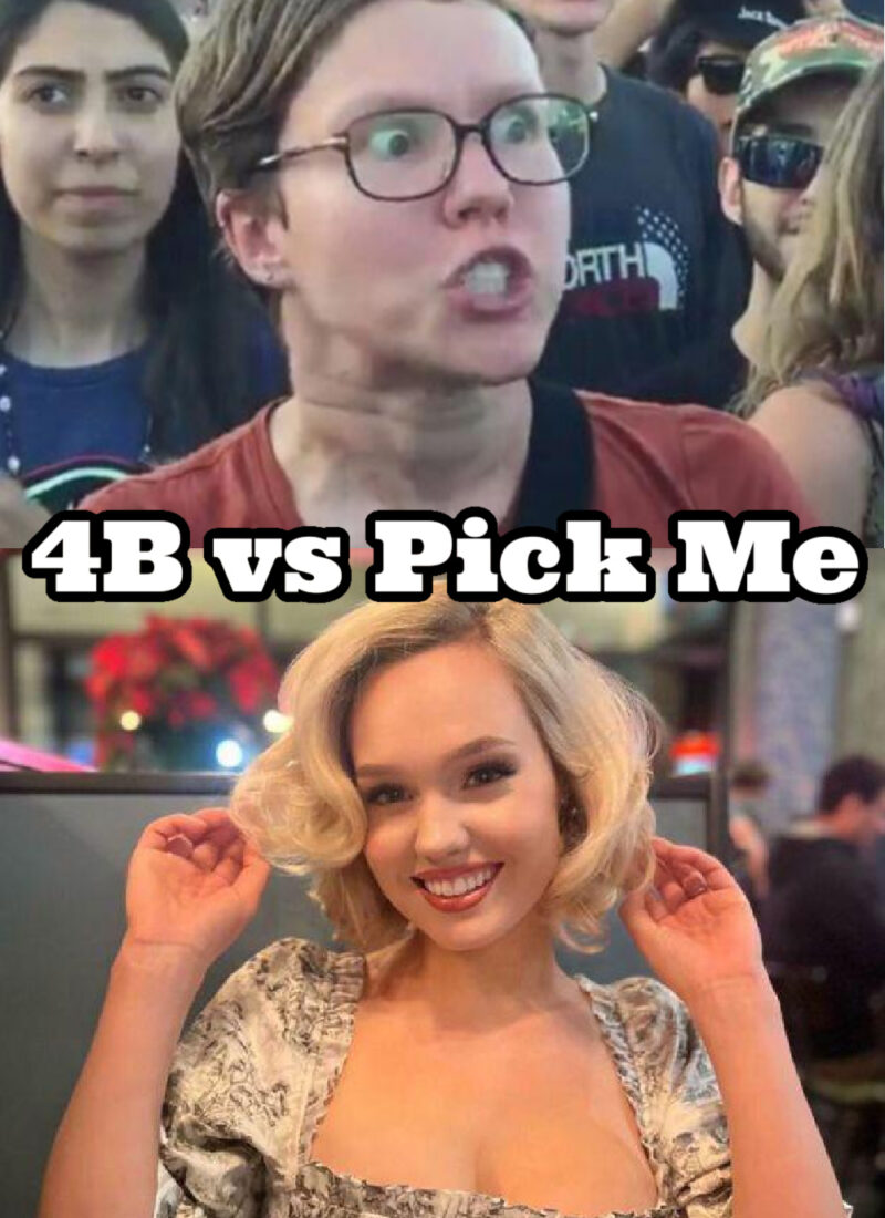 4B vs Pick Me | 4B Feminist Movement America | Why Pick Mes Don’t Get Picked | Recovering Pick Me Girl