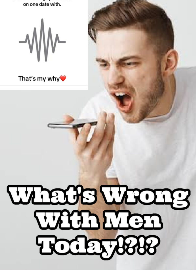voice memo guy, voice memo guy consent, voice memo guy reaction, voice note guy, voice message guy, what men really mean, consent or coercion, coercion and consent, hookup culture is destroying society, whats wrong with men, conor mcgregor, manosphere hypocrisy, womens safety, dating advice for women, hookup culture, the problem with modern dating, everyday starlet, sarah blodgett,